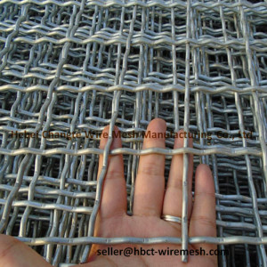 Galvanized Crimped Wire Mesh