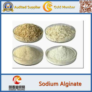 Sodium Alginate Gum (CMC, Xanthan gum) Food Grade Series